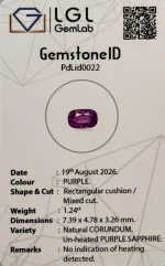 Unheated Oval Cut Blue Sapphire - Image 12